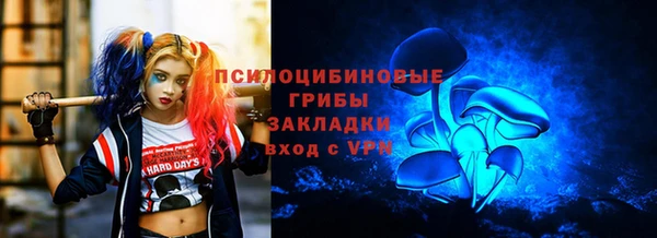 ECSTASY Горняк