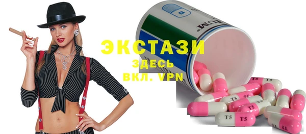 ECSTASY Горняк