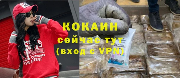 ECSTASY Горняк