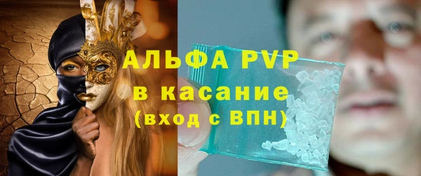 ECSTASY Горняк
