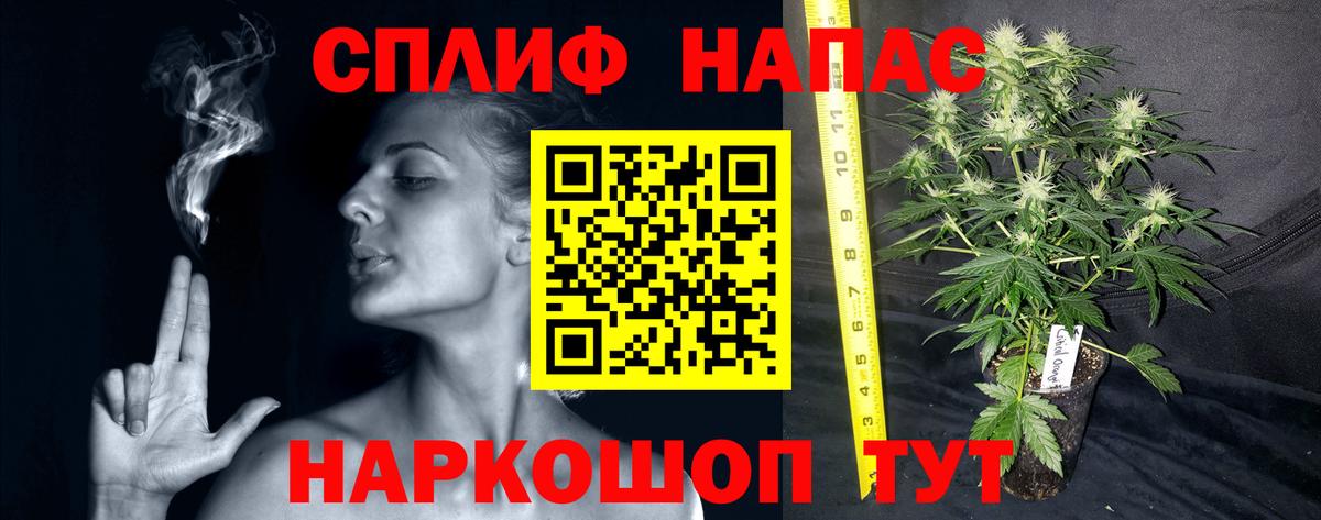 Шишки марихуана сатива Мценск